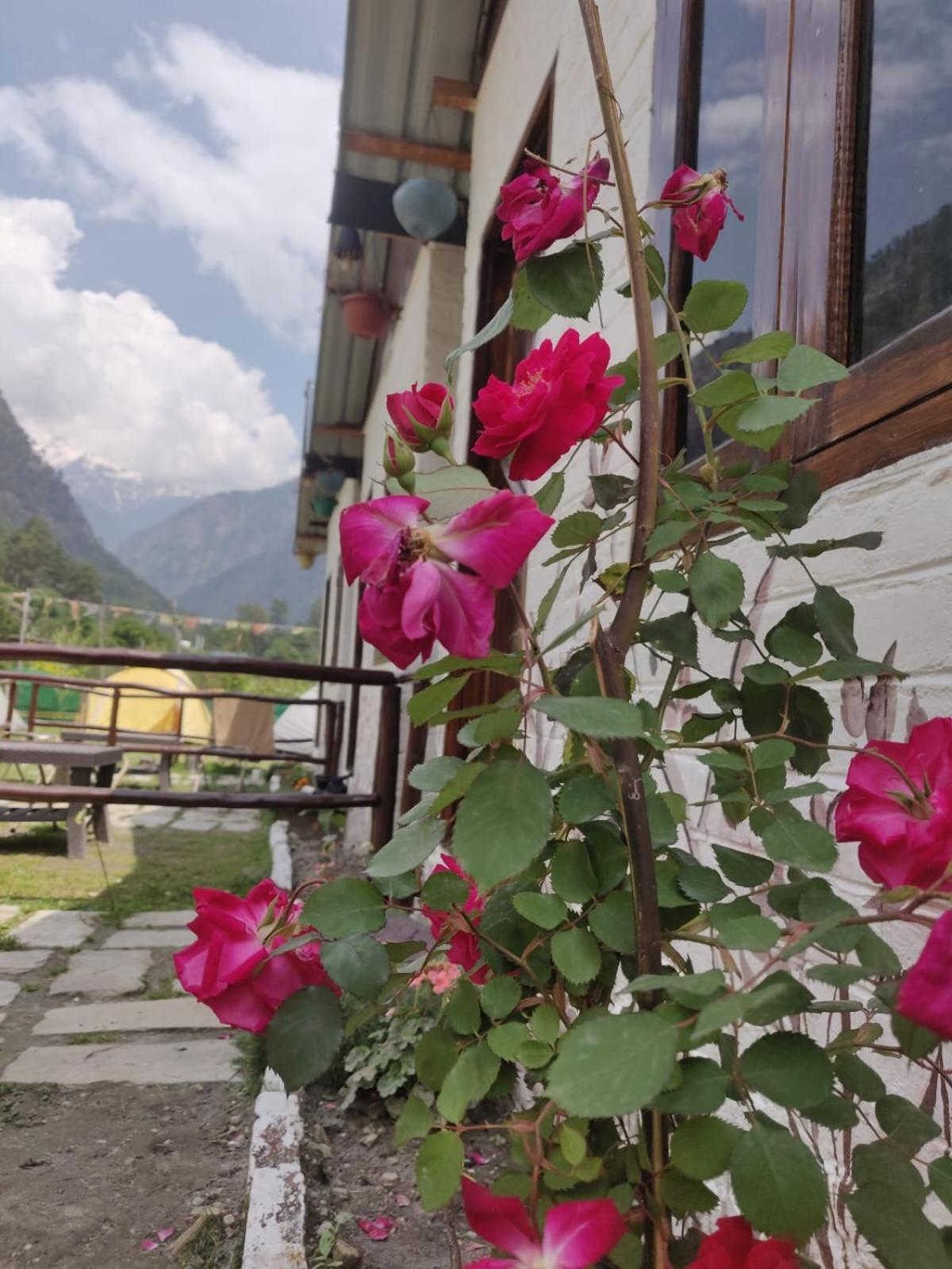 Himtrek Stay Касоль Екстер'єр фото